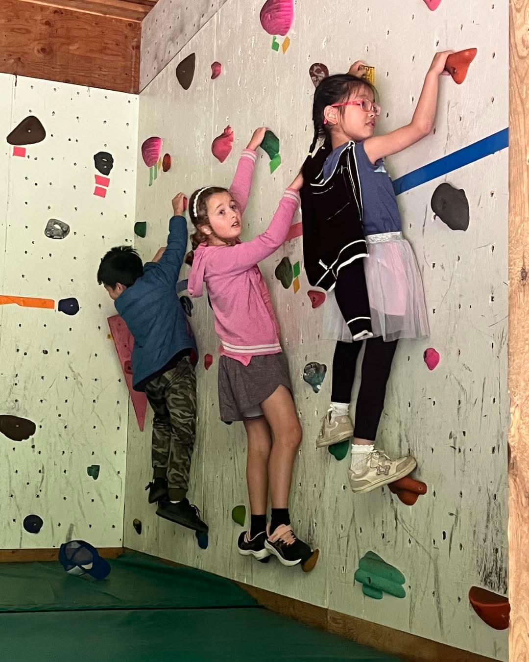 Three students on an indoor rock climbing wall